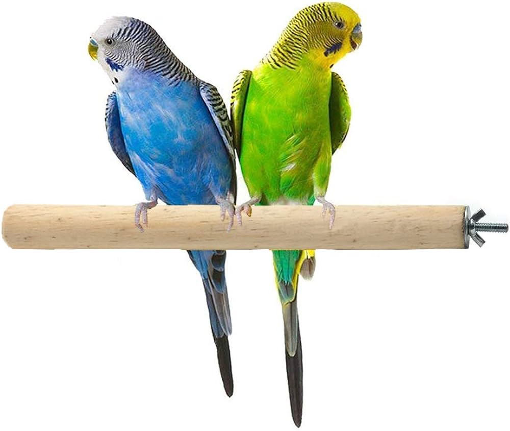 Birds, parrots products
