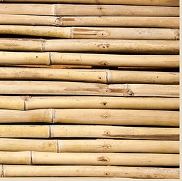 Bamboo splits