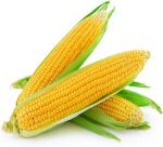 THE UNEXPECTED BENEFITS FROM CORN