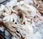 Russia is increasing octopus imports from Vietnam at a fast pace