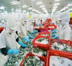 Viet Nam Boosting Seafood Exports to Russia