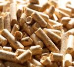 Why should use sawdust pellets