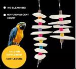 Optimizing Avian Nutrition: A Comprehensive Guide to Cuttlefish Bone for Birds and Enhancing Your Feathered Friends' Well-being”