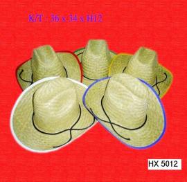 Cowboy hat HX 5012