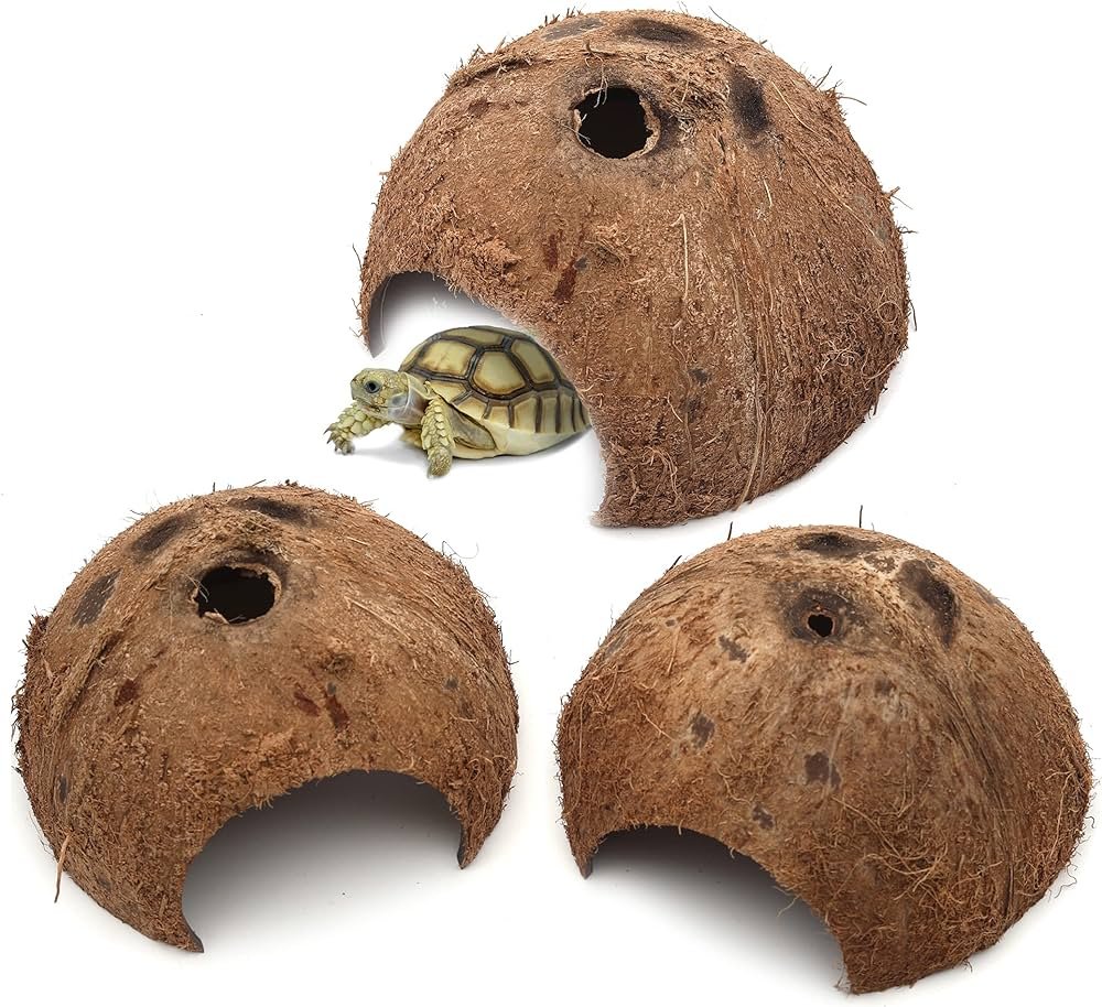 Coconut shell cage for reptiles