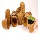 Going green with coconut pots