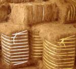 MARKET COCONUT FIBER ANALYSIS 