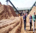 Overview of Vietnam wood shavings industry 2013