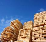 Wood exporters to face stricter requirements in EU, U.S.