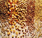 Branding : Solution to increase the value of agricultural exports