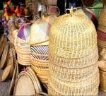 Rattan, bamboo processing have potential for large-scale production