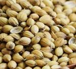 Coriander seeds nutrition facts