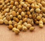  Biblical Food and Herbs Series: Coriander