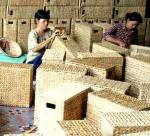 Hau Giang: Development of water hyacinth handicrafts