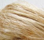 Banana fiber paper for lasting currency notes