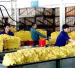 The value of rubber exports down 33% 