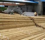 Long Thanh Trung develop traditional bamboo and rattan products