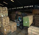 Experts log potential of VN wood