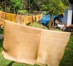 Rubber sheet processing 