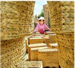 Hyacinth woven out of poverty thanks