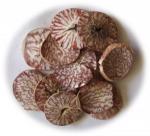 Betel planting for dried nut export