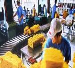 Rubber exports plunge in first ten months