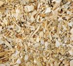 Members energy from sawdust, shavings