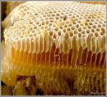 Honey can replace antibiotics!