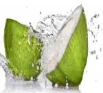 Business activities coconut water