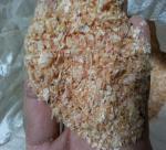 What is the Shrimp Processing Industry Doing with Its Surplus of Heads and Shells?