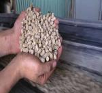Members energy from sawdust, shavings