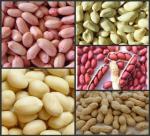 Peanuts
