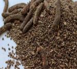 The uses of banana seed
