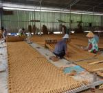 Profession of making Western coir carpets